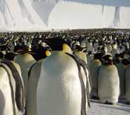 Migrating to Linux in 5 Steps