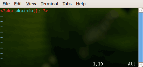 Vim phpinfo